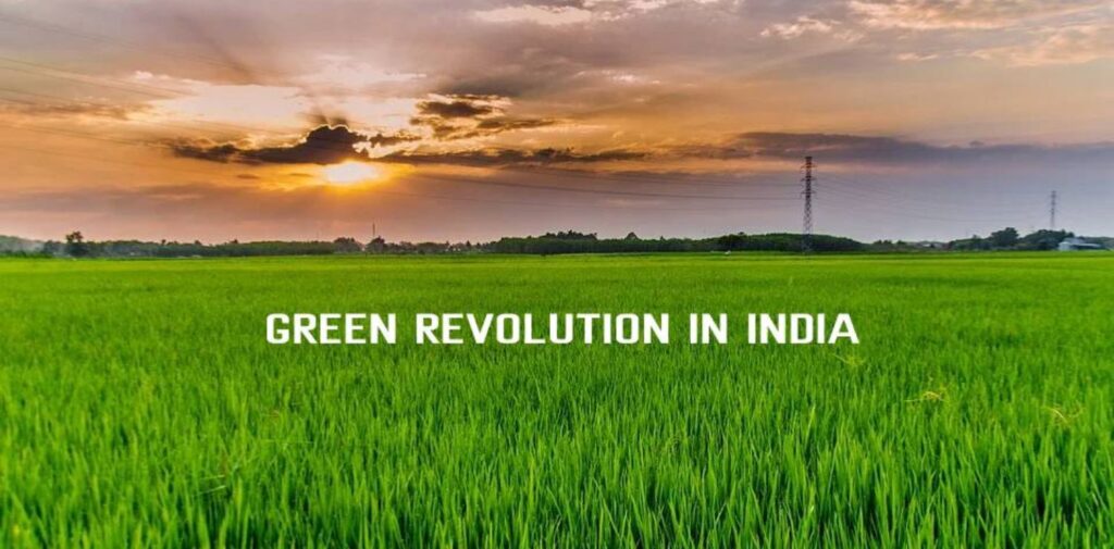India-Green-Revolution-Achieving-Food-Security-and-Sustainable-Farming-Background-of-the-Green-Revolution-in-India