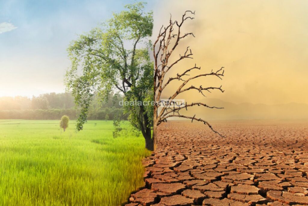 Adapting-to-Climate-Change_-Deal-Acres.