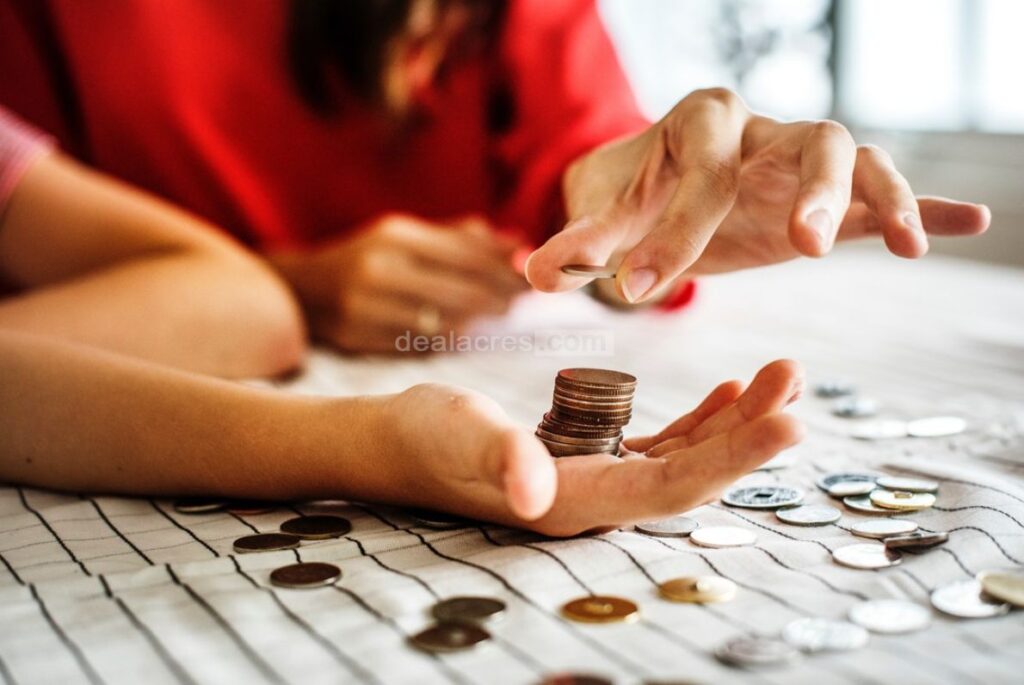 Budgeting-and-Finances_-Counting-Every-Penny-Deal-Acres.