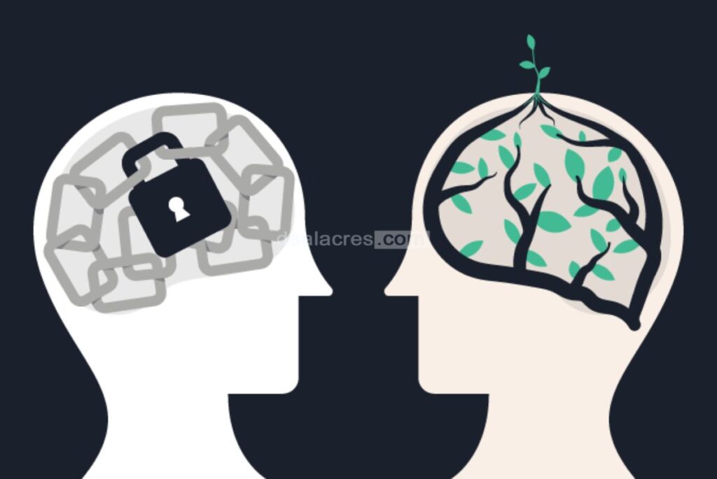 Cultivating-a-Growth-Mindset-in-Entrepreneurship_-The-Key-to-Success-What-is-a-Growth-Mindset-Deal-Acres.