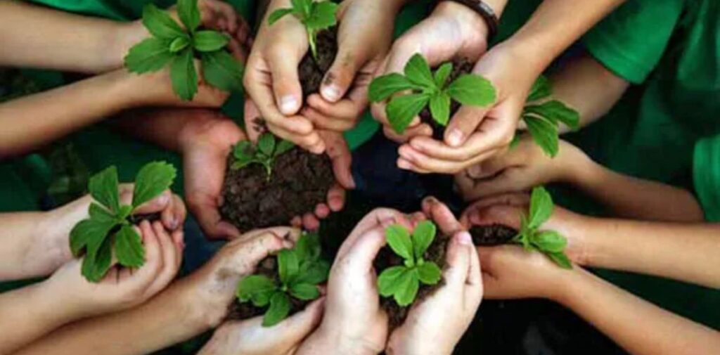 Environmental-Education-in-India-A-Big-Step-Forward