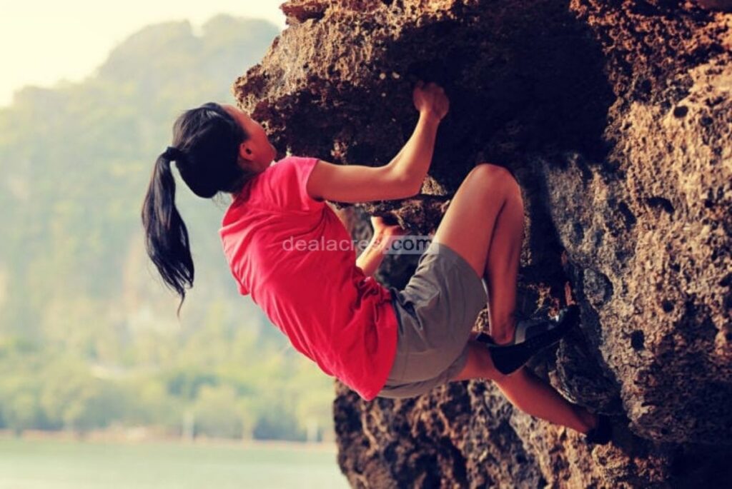 Stay-Persistent-and-Patient_-Deal-Acres.