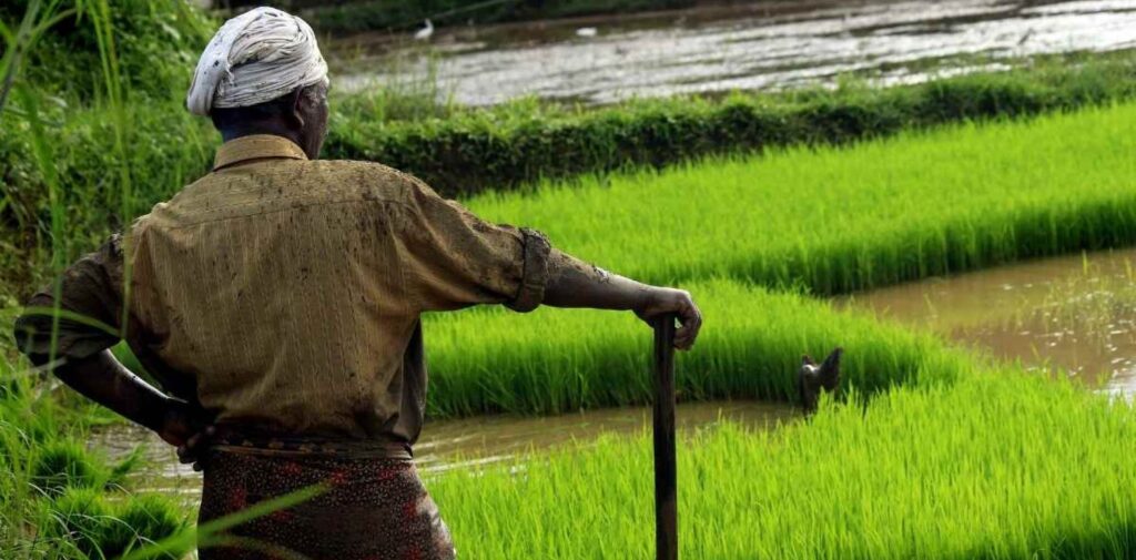 Challenges-Faced-by-Farmers