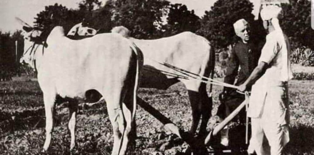 Failure-of-Nehru-Agricultural-Policies-and-Its-Contribution-to-Famines-Nehrus-Vision-for-Indias-Agriculture