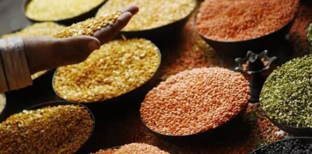 Future-of-India-Agricultural-Export-Potential-Indias-Agricultural-Strength.