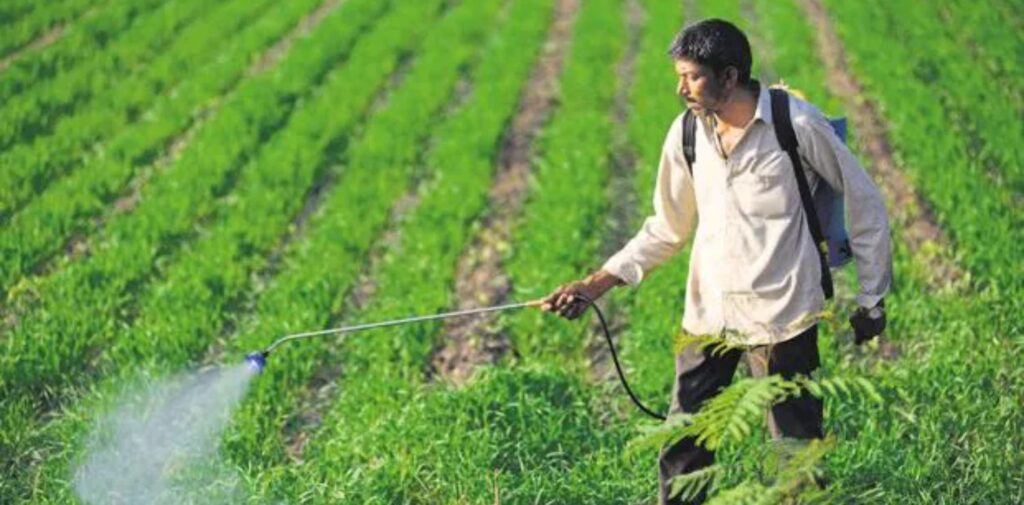 Role-of-Agriculture-in-Indias-Economy-Post-Green-Revolution-What-Was-the-Green-Revolution.