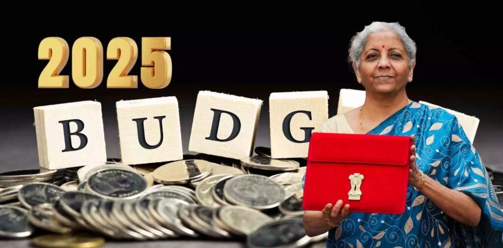 What-Can-We-Expect-in-Budget-2025