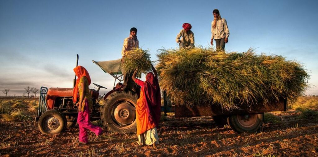 What-Needs-to-Be-Done-for-Agriculture-to-Thrive-in-India.