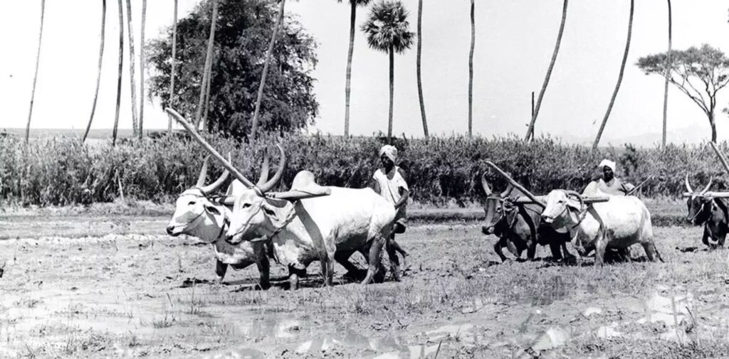 Indian-Agriculture-in-the-National-Movement-A-Story-of-Struggle-and-Change-The-Condition-of-Agriculture-Before-the-National-Movement