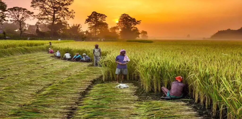 The-Economic-Impact-of-Agriculture-on-the-National-Movement