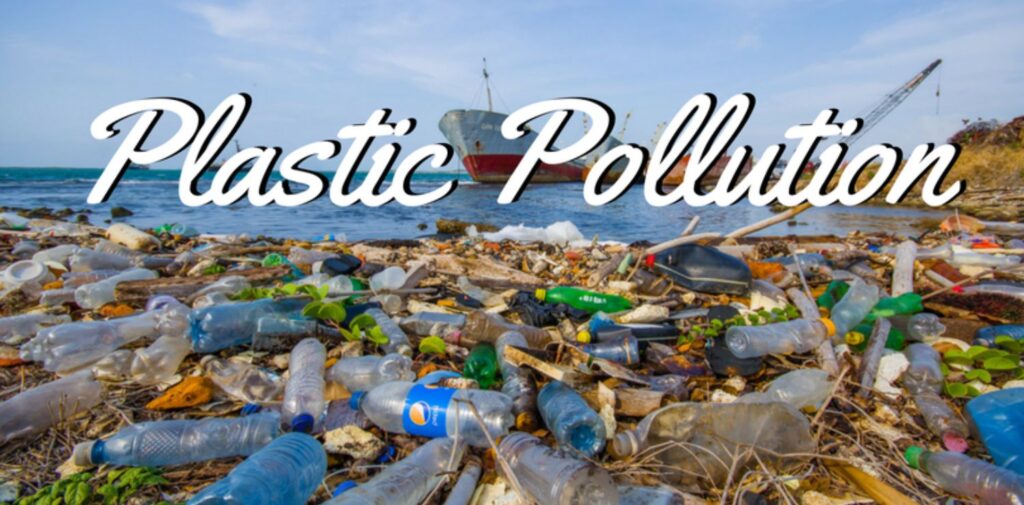 How-India-Is-Tackling-Its-Plastic-Pollution-Crisis-The-Scope-of-Plastic-Pollution-in-India