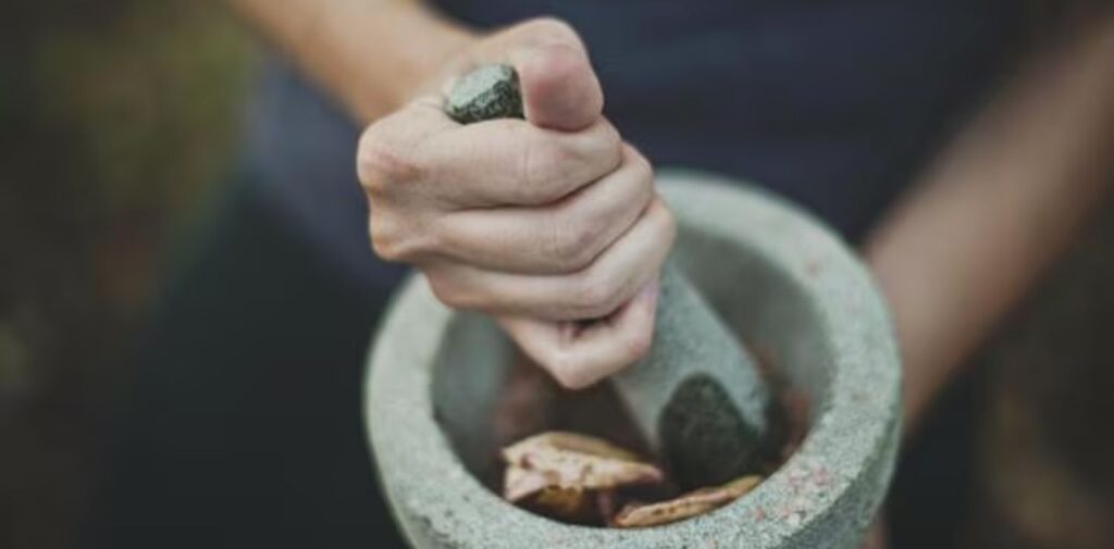 How-Indian-Traditional-Medicines-are-Influencing-Global-Health-Trends-The-Rise-of-Ayurveda-in-Global-Health