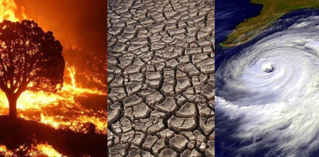 India-Response-to-Climate-Change-Policies-and-Global-Leadership-Since-2000-Indias-Climate-Change-Awareness-and-Policy-Shift
