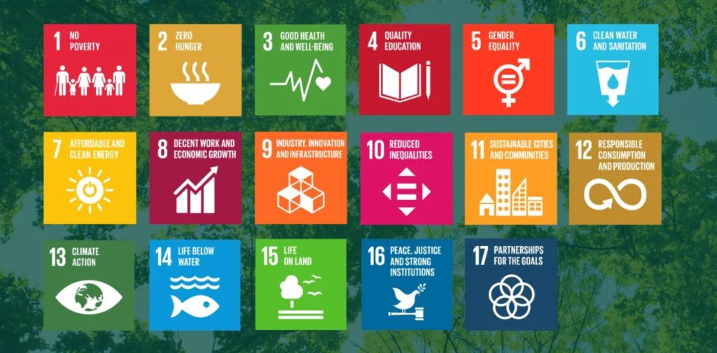 Indias-Journey-in-Achieving-Sustainable-Development-Goals-SDGs-What-Are-the-Sustainable-Development-Goals-SDGs