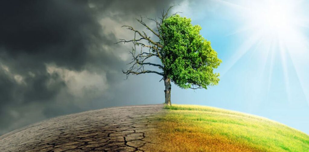Indias-Role-in-Promoting-Climate-Change-and-Sustainable-Development