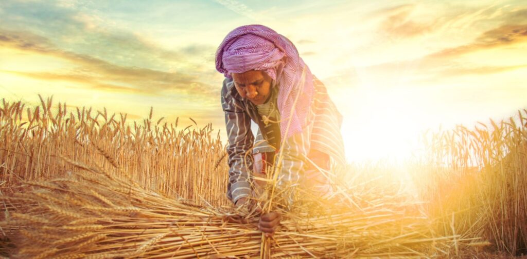 The-Changing-Face-of-Indian-Agriculture-Post-2000-Challenges-and-Innovations-Challenges-Faced-by-Indian-Agriculture