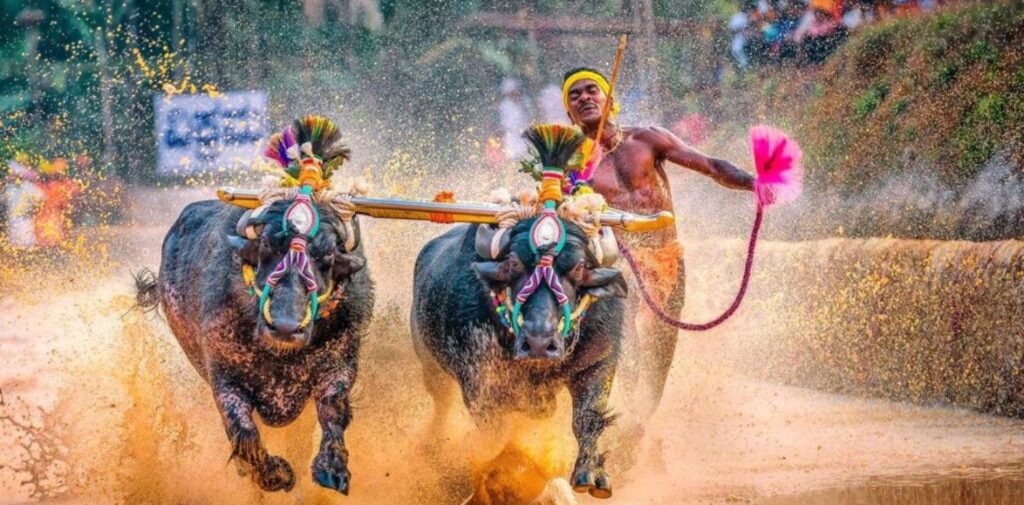 The-Revival-of-Indian-Traditional-Sports-in-the-21st-Century-Rediscovering-Indias-Sporting-Heritage