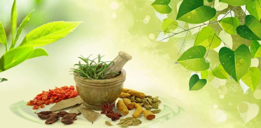 The-Role-of-Indian-Traditional-Medicine-in-the-Modern-Health-System-Ayurveda-A-Guiding-Light-for-Preventive-Healthcare