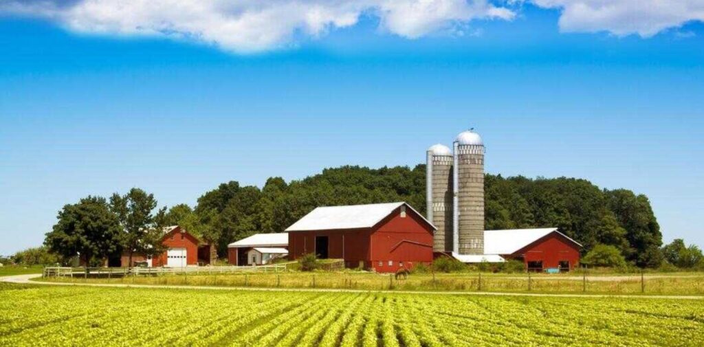 Helps-Businesses-Grow-in-Rural-India.