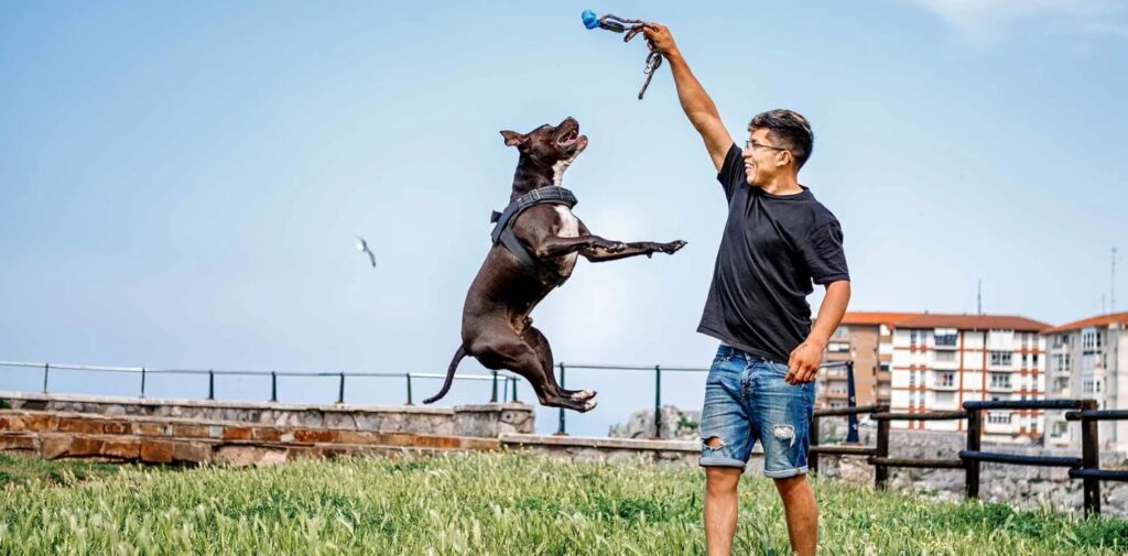 Neuroscience-and-the-Power-of-Focus.