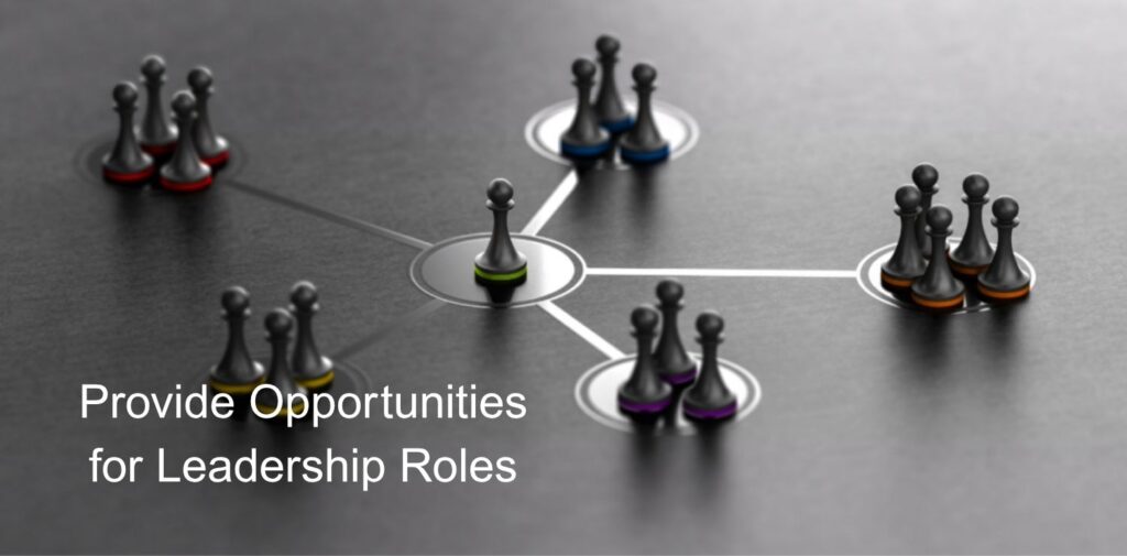 Provide-Opportunities-for-Leadership-Roles.