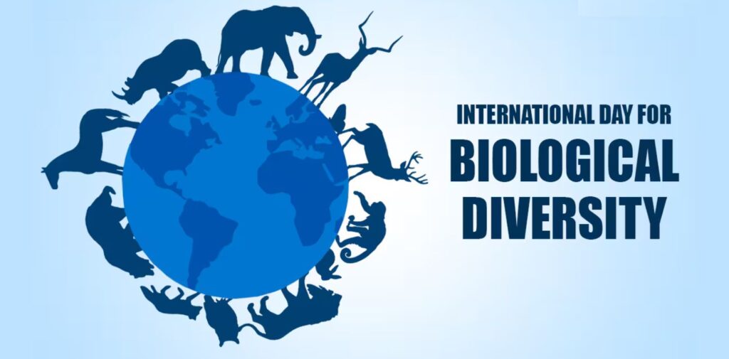 What-is-the-role-of-International-Day-for-Biological-Diversity.jpg