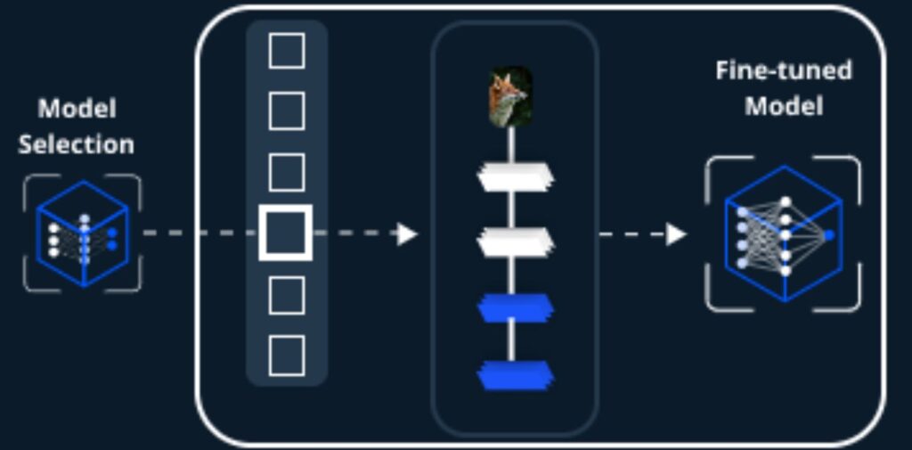 Why-Should-Indians-Care-About-Pretraining-and-Fine-Tuning.