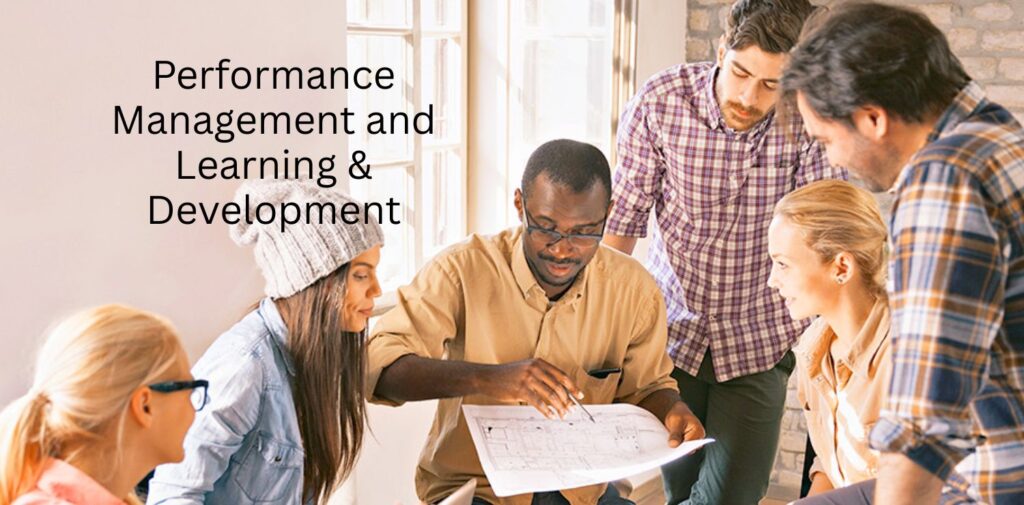 Performance-Management-and-Learning-Development.